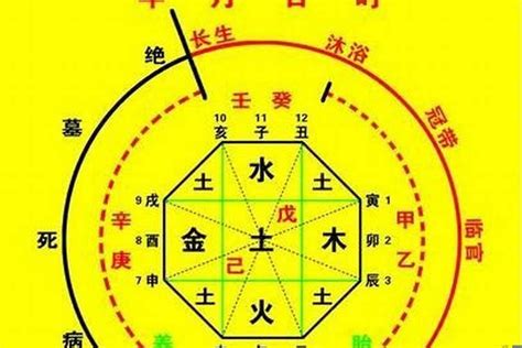 八字守護神|生辰八字算命、五行喜用神查詢（免費測算）